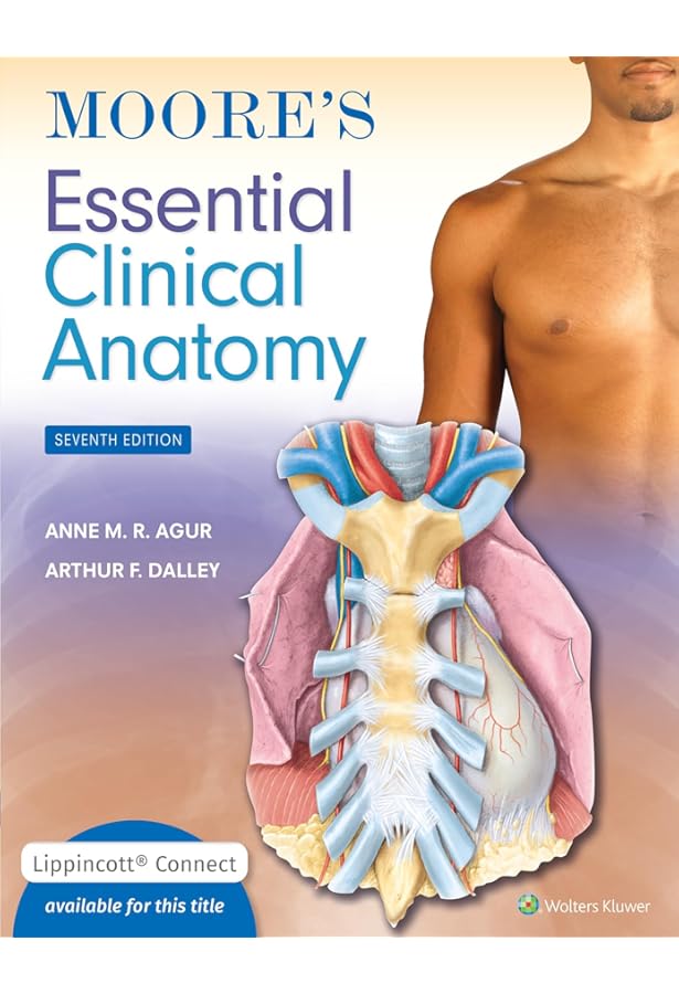 Moore's Essential Clinical Anatomy: 9781496369659: Medicine